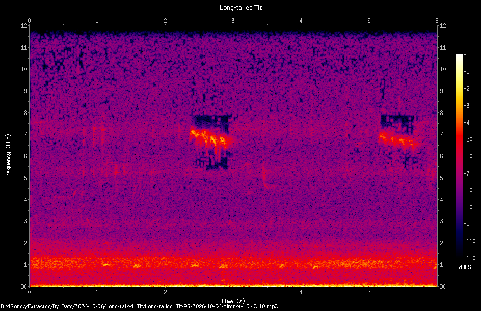 Spectrogram of a Long-tailed Tit recorded at 10:43:10
