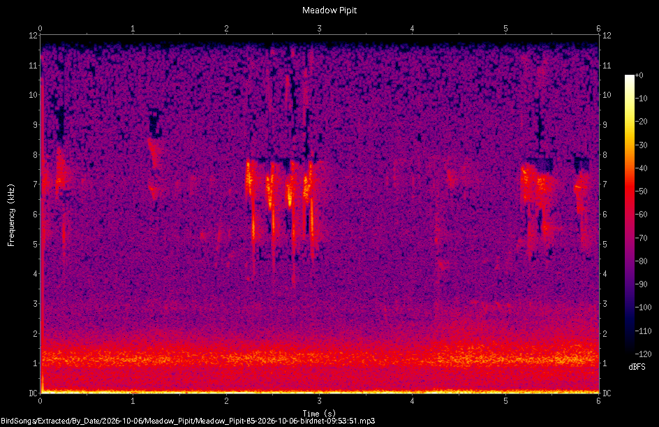 Spectrogram of a Meadow Pipit recorded at 09:53:51