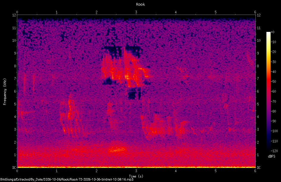Spectrogram of a Rook recorded at 10:08:16