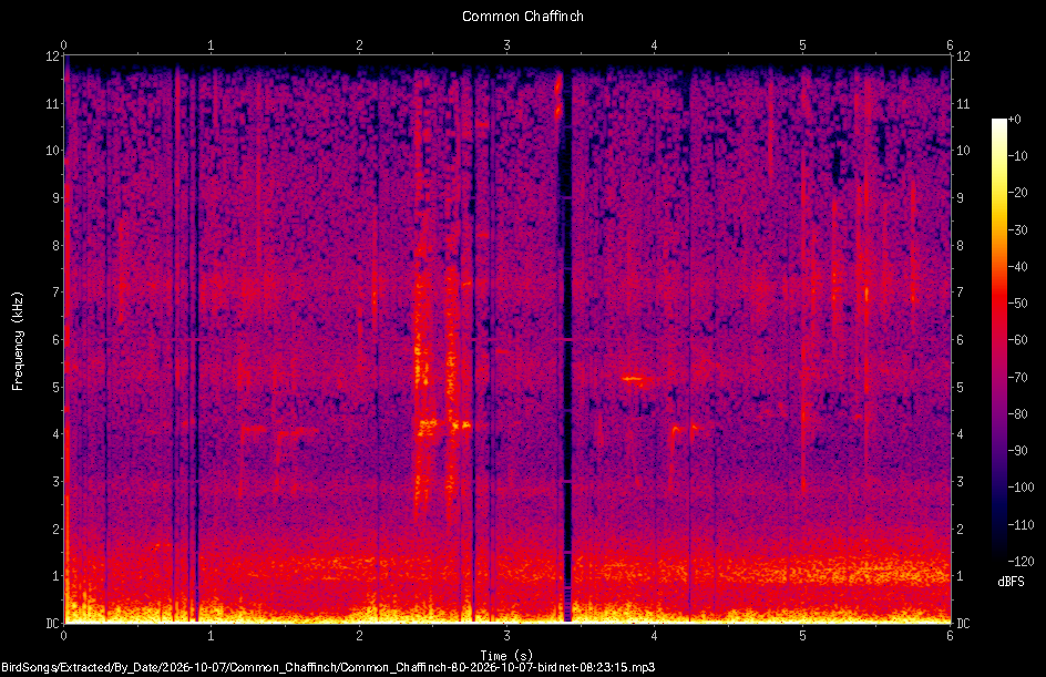 Spectrogram of a Common Chaffinch recorded at 08:23:15
