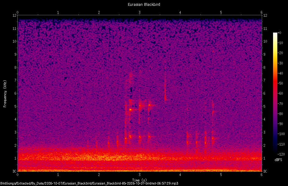 Spectrogram of a Eurasian Blackbird recorded at 06:57:29