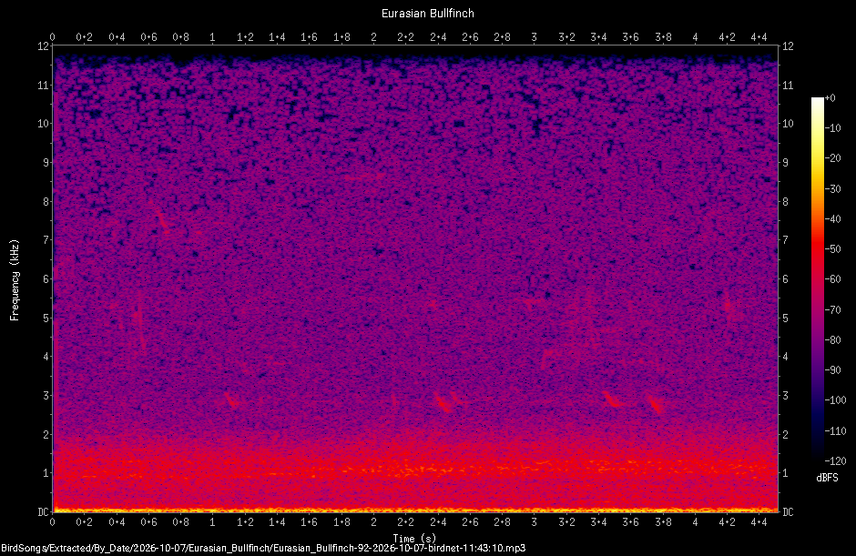 Spectrogram of a Eurasian Bullfinch recorded at 11:43:10