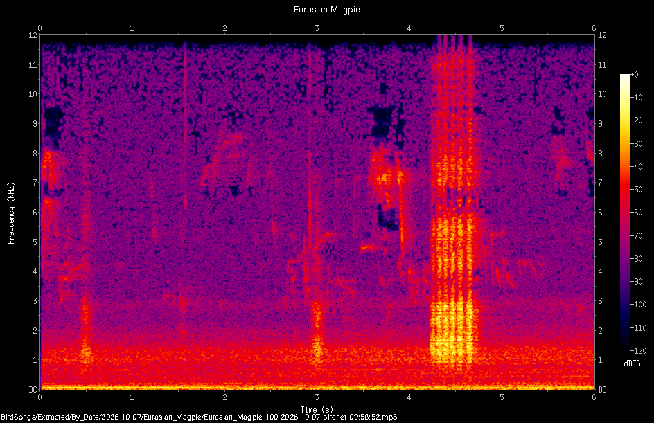 Spectrogram of a Eurasian Magpie recorded at 09:58:52