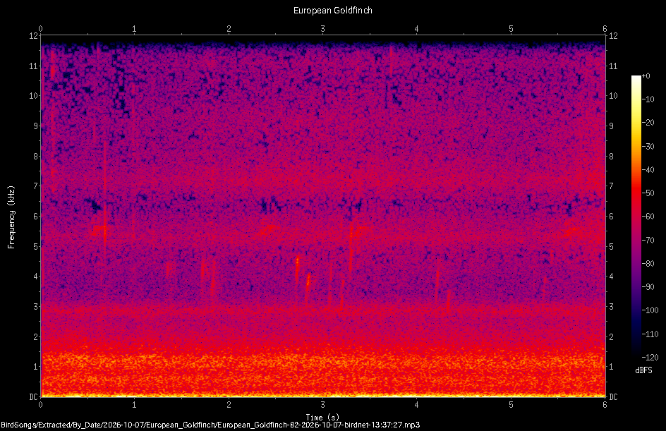 Spectrogram of a European Goldfinch recorded at 13:37:27