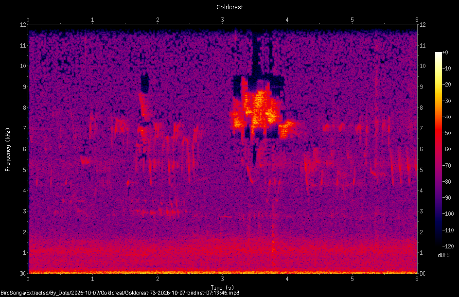 Spectrogram of a Goldcrest recorded at 07:19:46