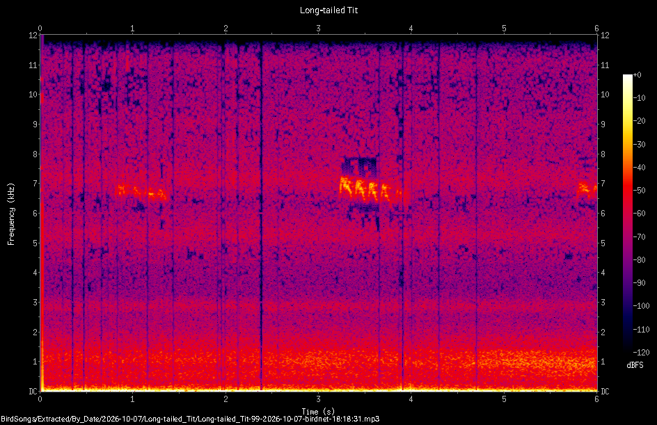 Spectrogram of a Long-tailed Tit recorded at 18:18:31