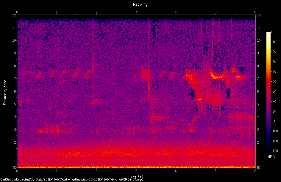 Spectrogram of a Redwing recorded at 09:58:07