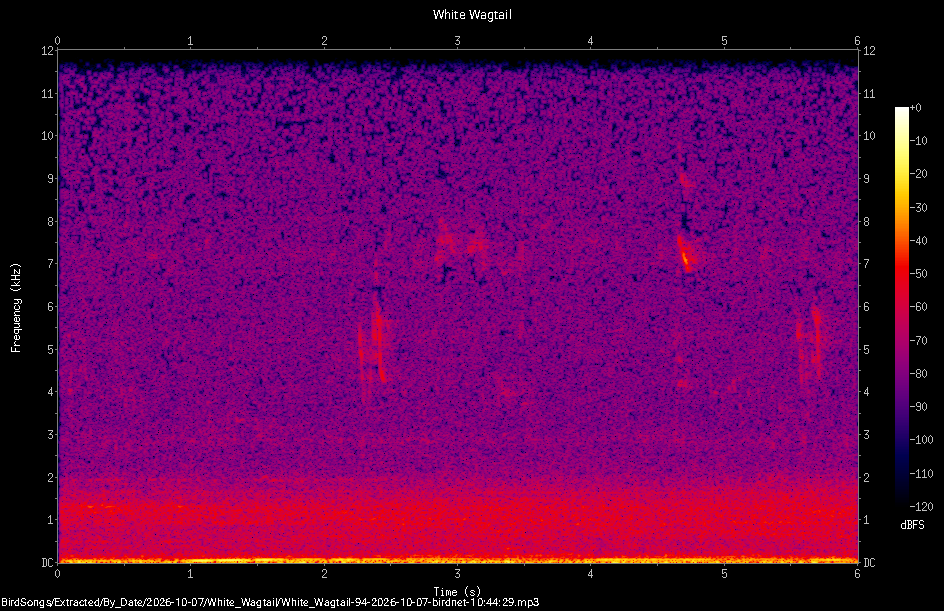 Spectrogram of a White Wagtail recorded at 10:44:29