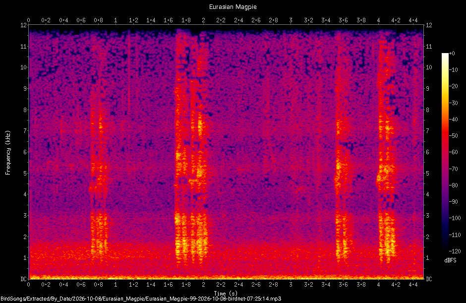 Spectrogram of a Eurasian Magpie recorded at 07:25:14