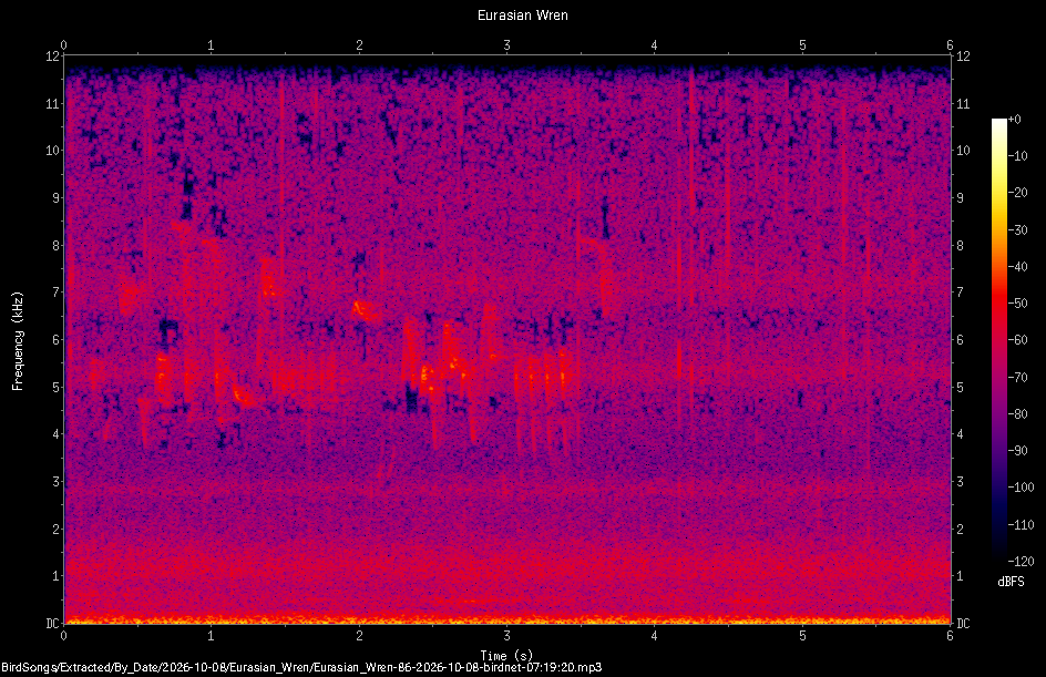 Spectrogram of a Eurasian Wren recorded at 07:19:20