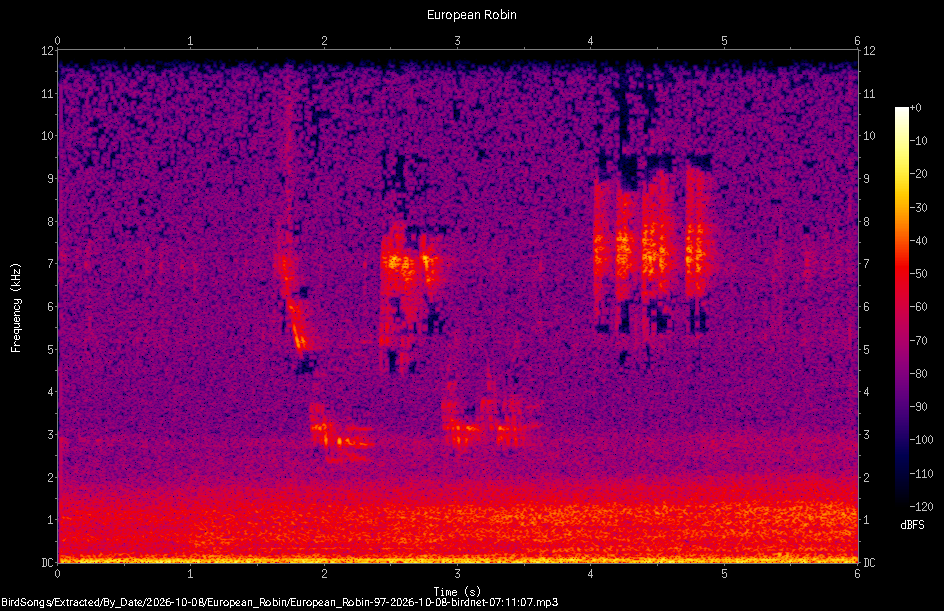 Spectrogram of a European Robin recorded at 07:11:07