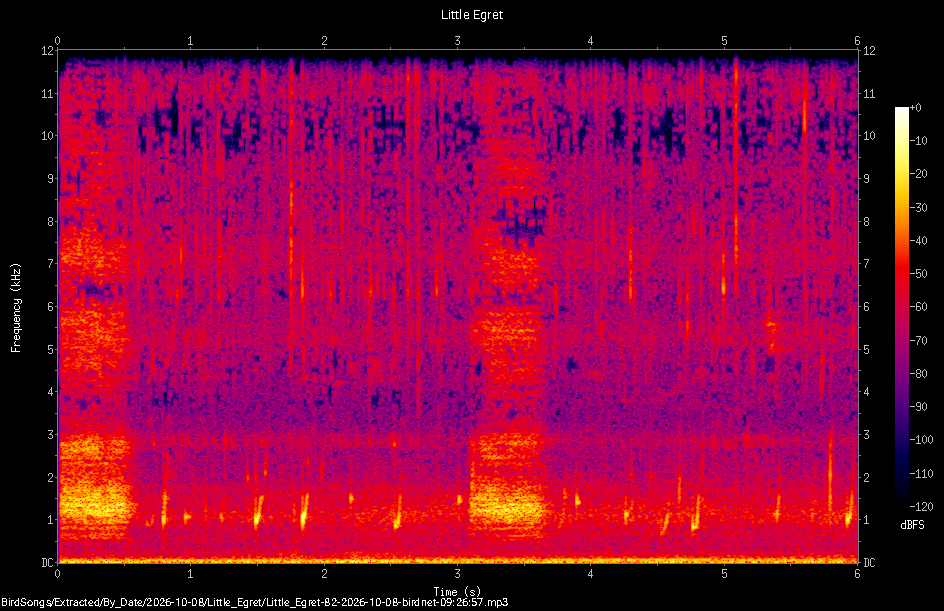 Spectrogram of a Little Egret recorded at 09:26:57