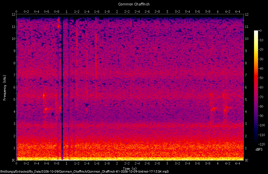Spectrogram of a Common Chaffinch recorded at 17:12:34