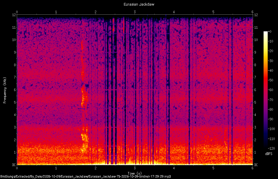 Spectrogram of a Eurasian Jackdaw recorded at 17:29:29