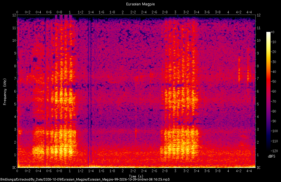 Spectrogram of a Eurasian Magpie recorded at 08:16:25