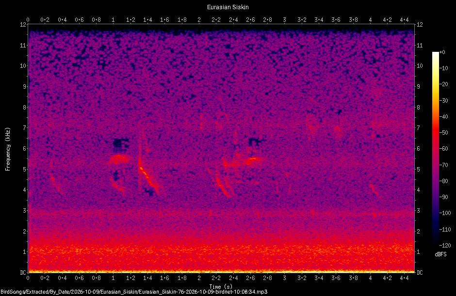 Spectrogram of a Eurasian Siskin recorded at 10:08:34