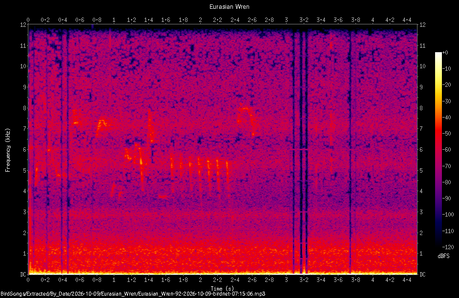 Spectrogram of a Eurasian Wren recorded at 07:15:06