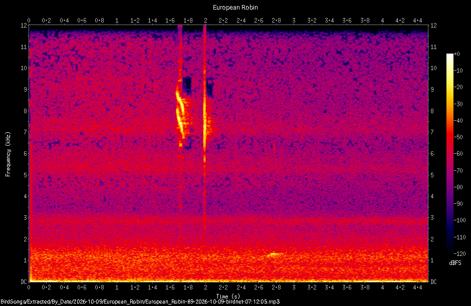 Spectrogram of a European Robin recorded at 07:12:05