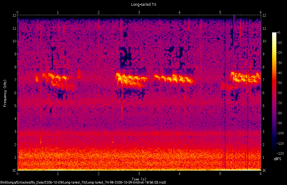 Spectrogram of a Long-tailed Tit recorded at 18:56:03