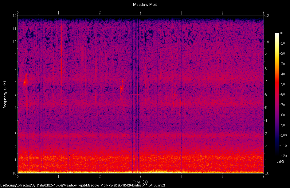 Spectrogram of a Meadow Pipit recorded at 11:54:03