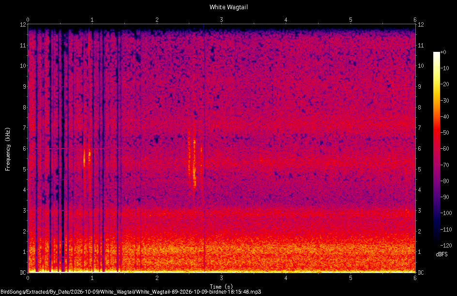 Spectrogram of a White Wagtail recorded at 18:15:48