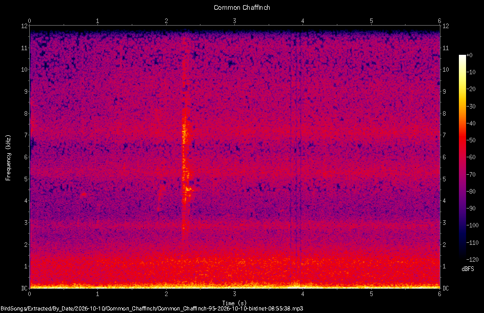 Spectrogram of a Common Chaffinch recorded at 08:55:38