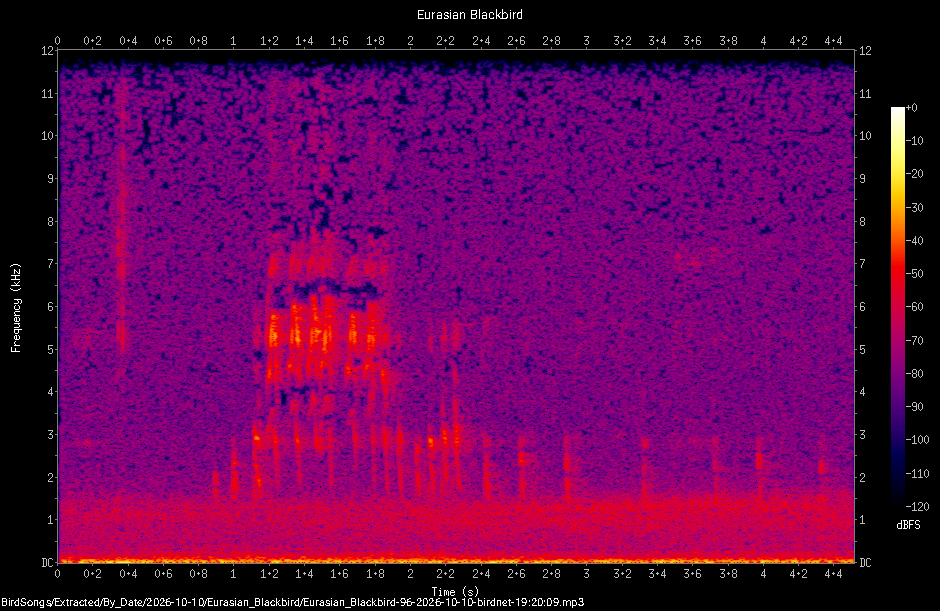 Spectrogram of a Eurasian Blackbird recorded at 19:20:09