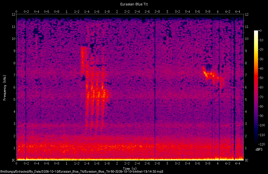 Spectrogram of a Eurasian Blue Tit recorded at 15:14:20
