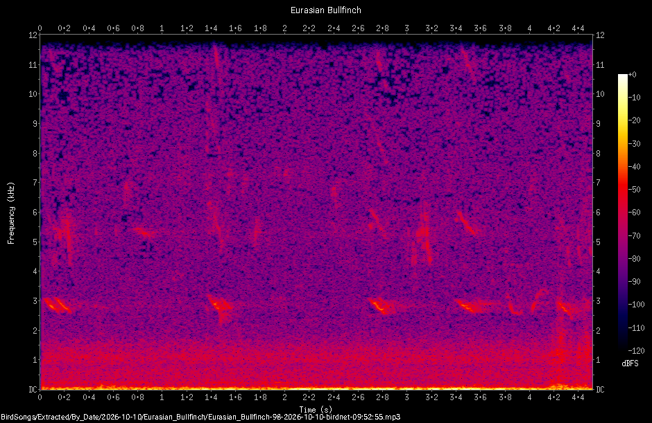 Spectrogram of a Eurasian Bullfinch recorded at 09:52:55