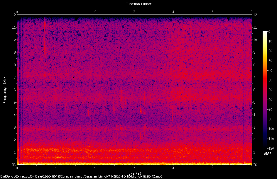 Spectrogram of a Eurasian Linnet recorded at 16:00:42