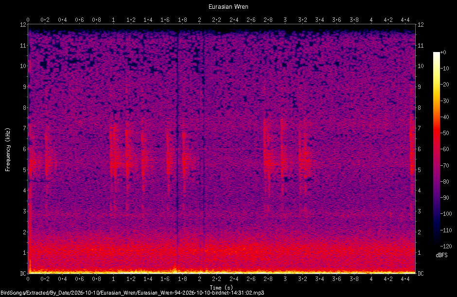 Spectrogram of a Eurasian Wren recorded at 14:31:02