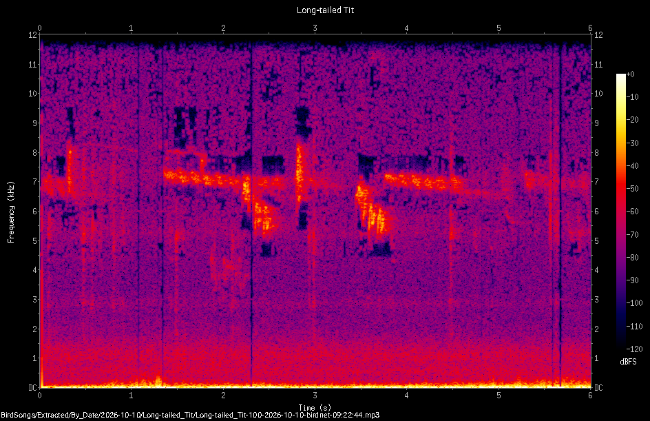 Spectrogram of a Long-tailed Tit recorded at 09:22:44
