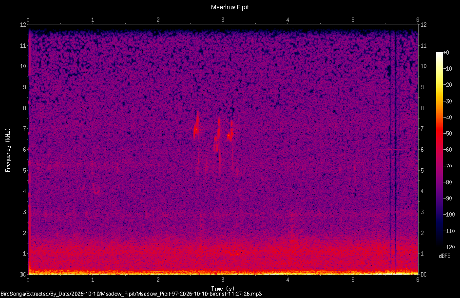 Spectrogram of a Meadow Pipit recorded at 11:27:26