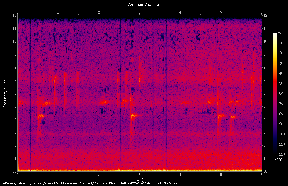 Spectrogram of a Common Chaffinch recorded at 10:35:53