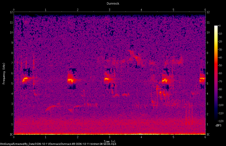 Spectrogram of a Dunnock recorded at 08:53:36