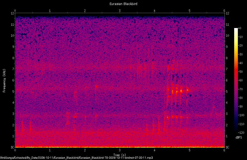 Spectrogram of a Eurasian Blackbird recorded at 07:20:11