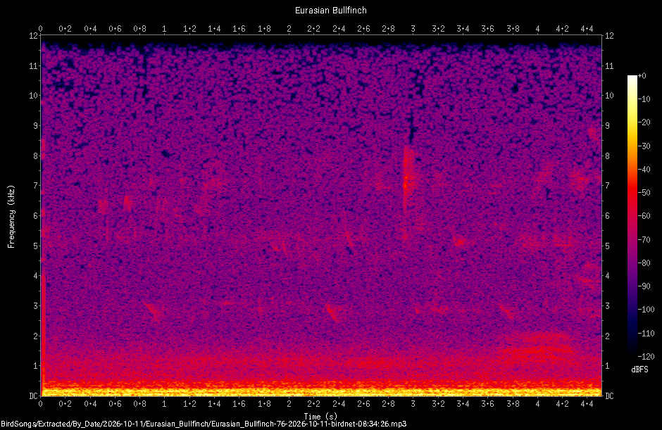 Spectrogram of a Eurasian Bullfinch recorded at 08:34:26