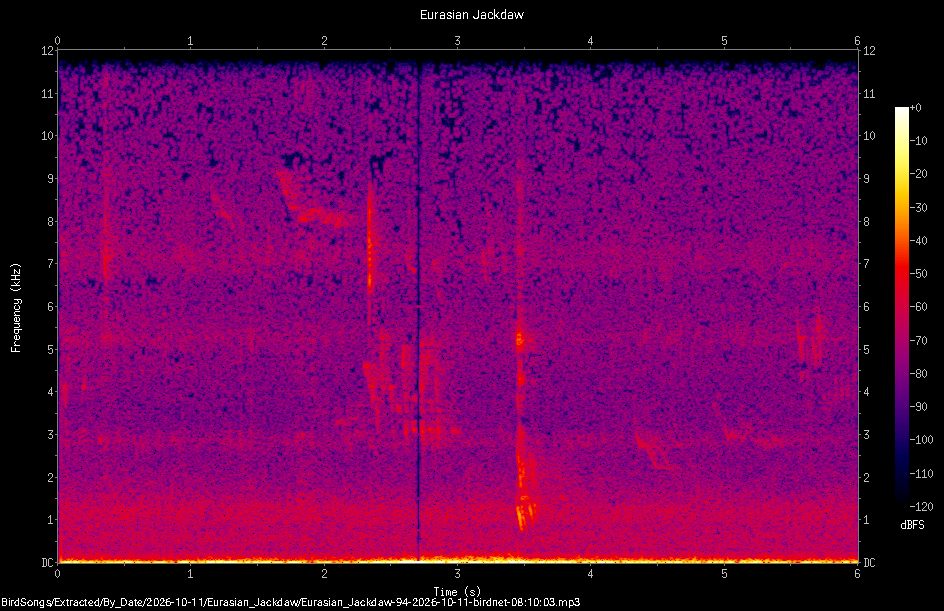 Spectrogram of a Eurasian Jackdaw recorded at 08:10:03