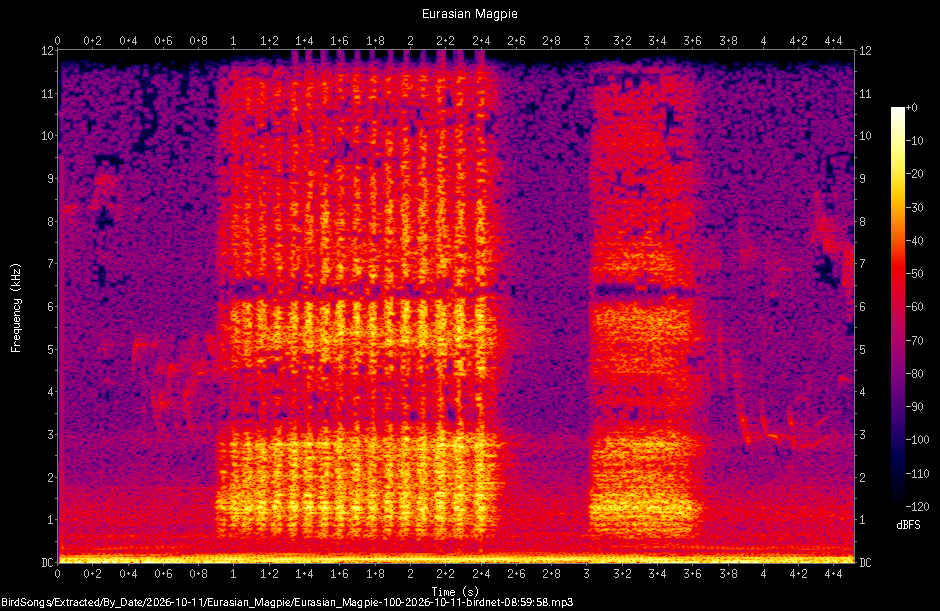 Spectrogram of a Eurasian Magpie recorded at 08:59:58