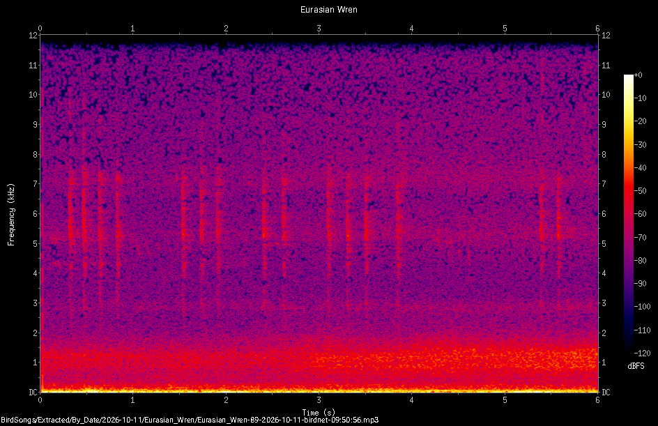 Spectrogram of a Eurasian Wren recorded at 09:50:56
