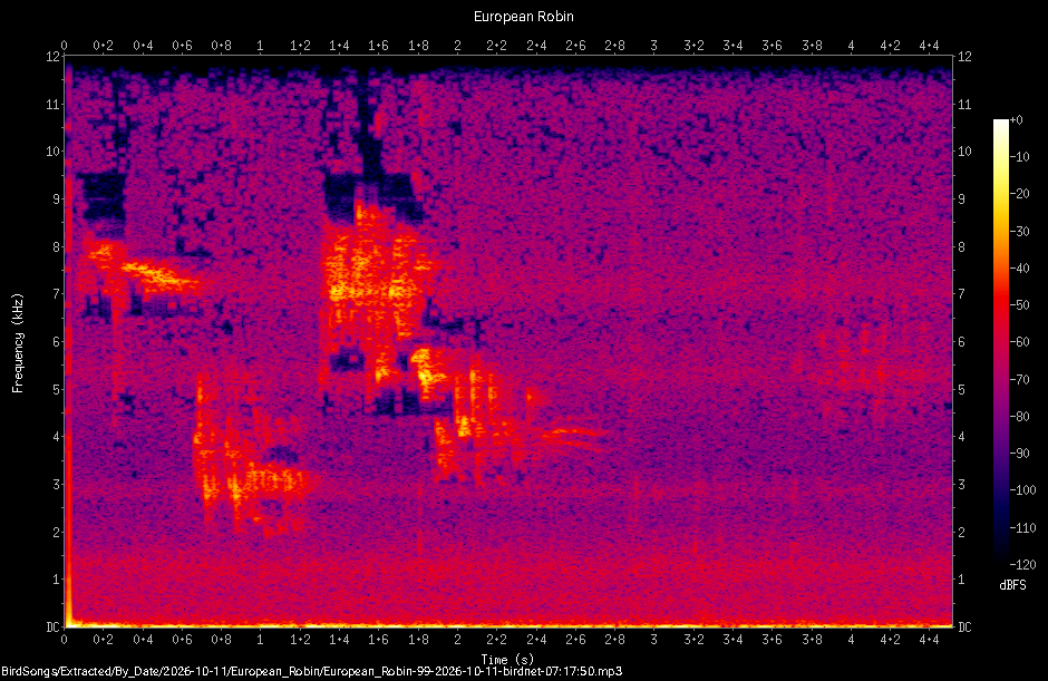 Spectrogram of a European Robin recorded at 07:17:50