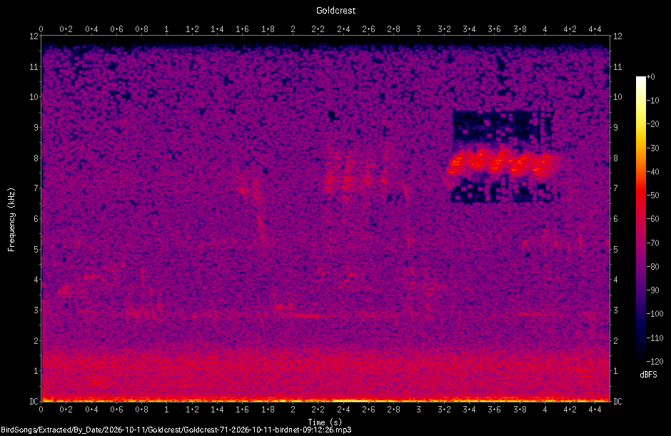 Spectrogram of a Goldcrest recorded at 09:12:26