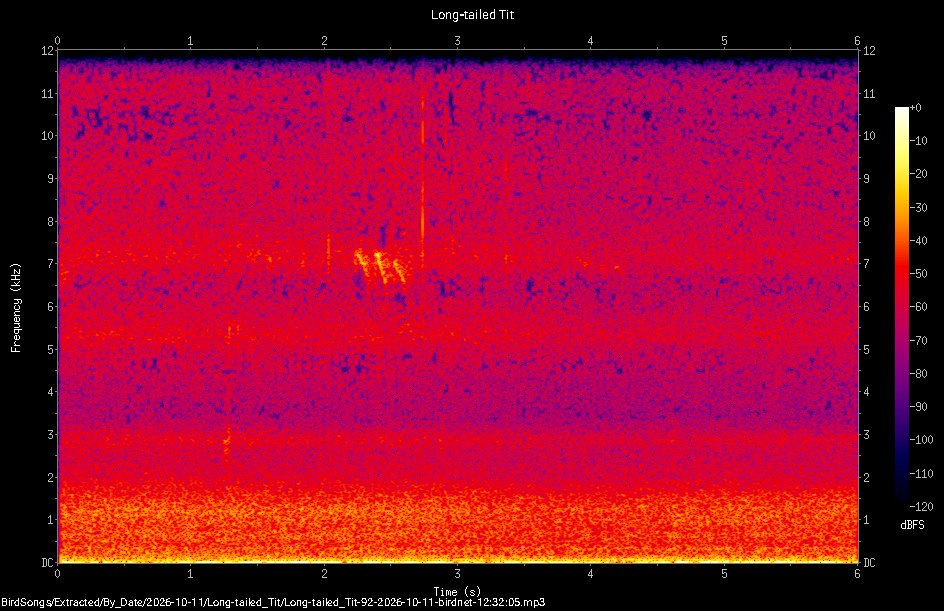 Spectrogram of a Long-tailed Tit recorded at 12:32:05