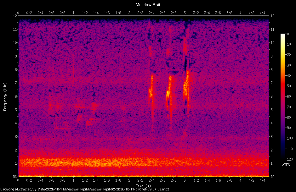 Spectrogram of a Meadow Pipit recorded at 09:57:32