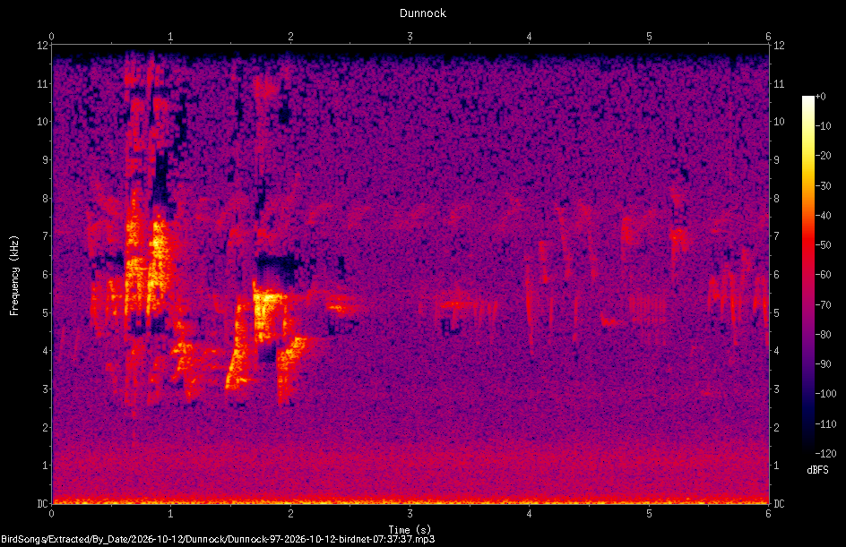 Spectrogram of a Dunnock recorded at 07:37:37