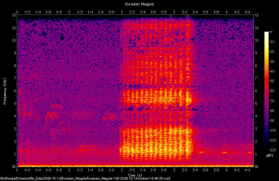 Spectrogram of a Eurasian Magpie recorded at 10:48:25