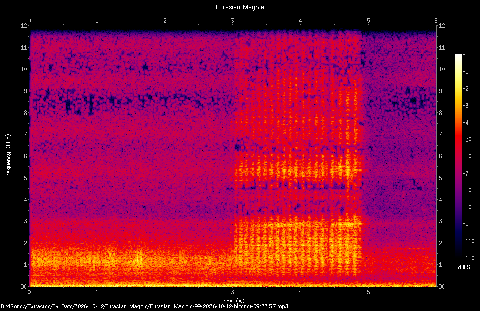 Spectrogram of a Eurasian Magpie recorded at 09:22:57