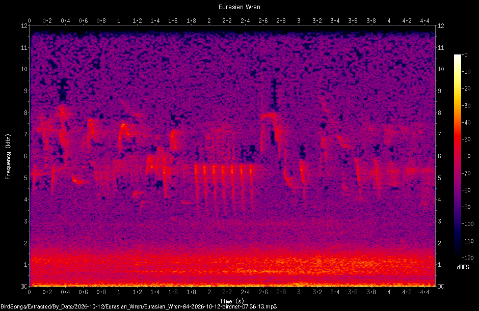 Spectrogram of a Eurasian Wren recorded at 07:36:13