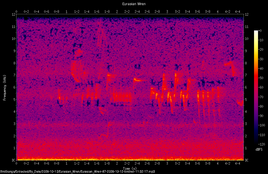 Spectrogram of a Eurasian Wren recorded at 11:32:17