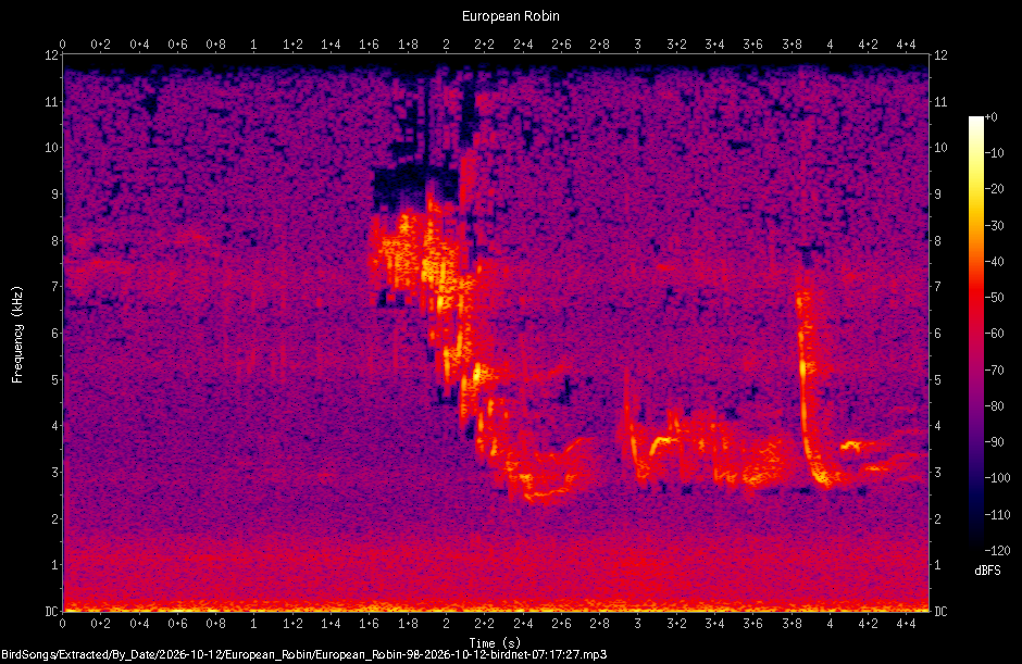 Spectrogram of a European Robin recorded at 07:17:27